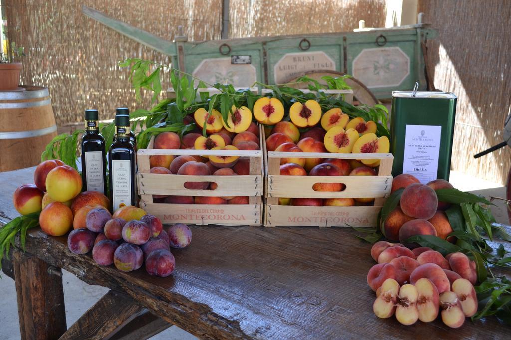 Agriturismo Montecorona Umbertide Ngoại thất bức ảnh